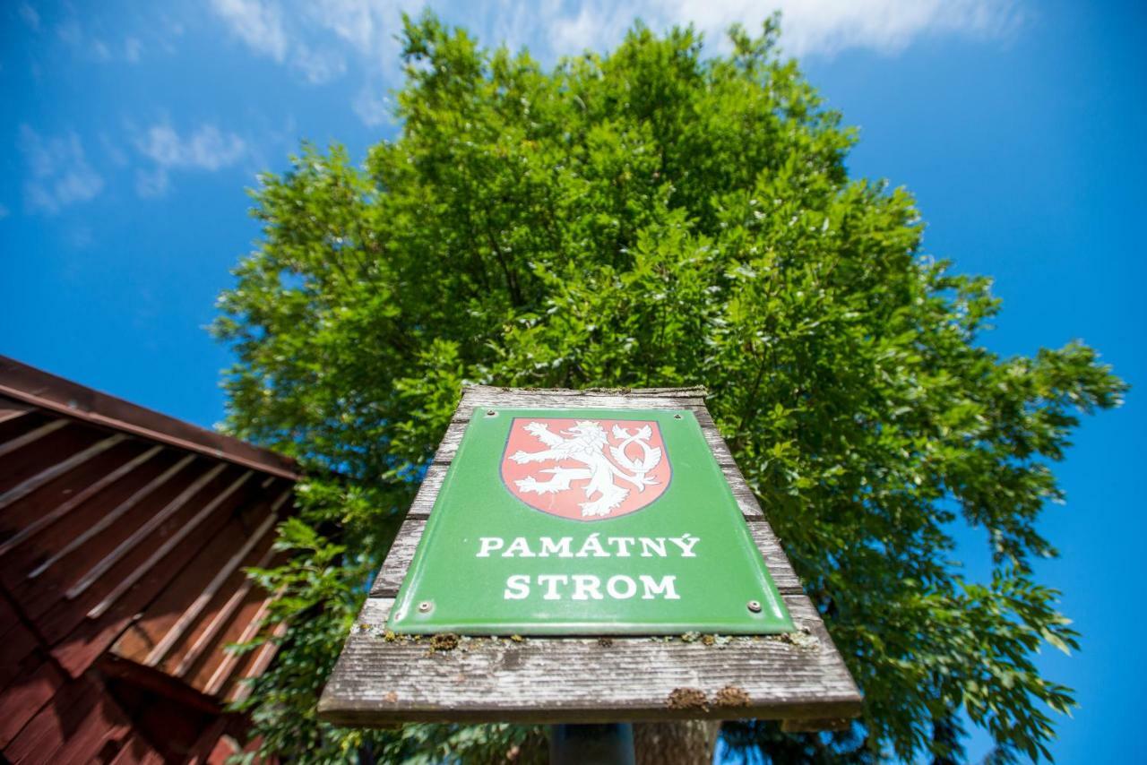 Chata Jasan Kořenov Exterior foto